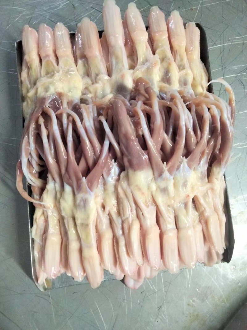 鸭舌冻品各种规格全国发货全国物流冷链配送