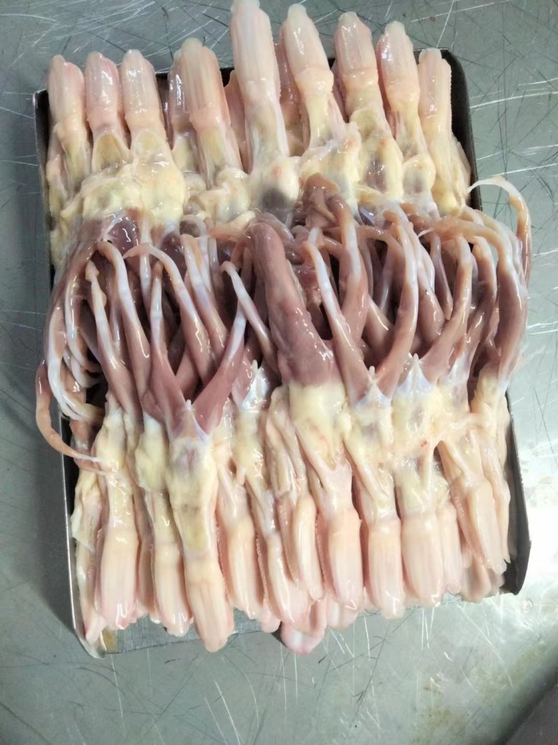 鸭舌冻品各种规格全国发货全国物流冷链配送