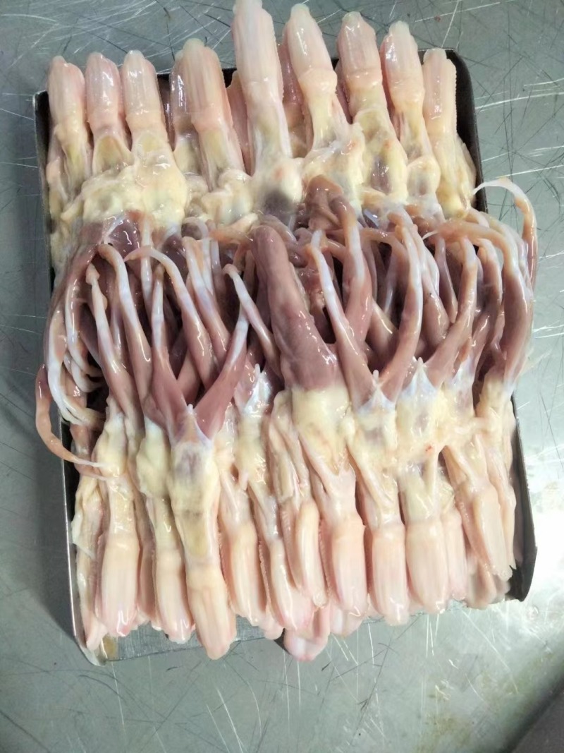 鸭舌冻品各种规格全国发货全国物流冷链配送