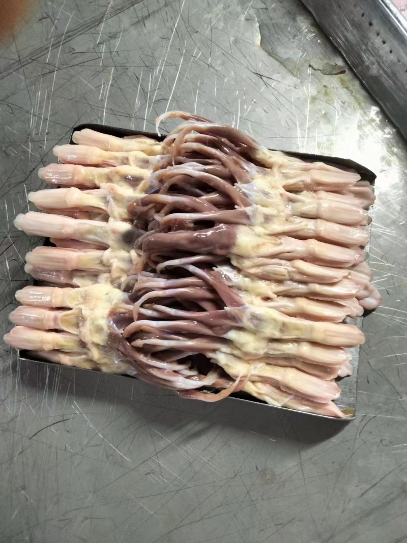鸭舌冻品各种规格全国发货全国物流冷链配送