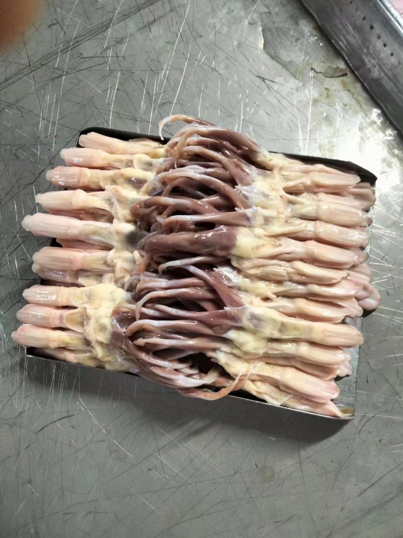 鸭舌冻品各种规格全国发货全国物流冷链配送