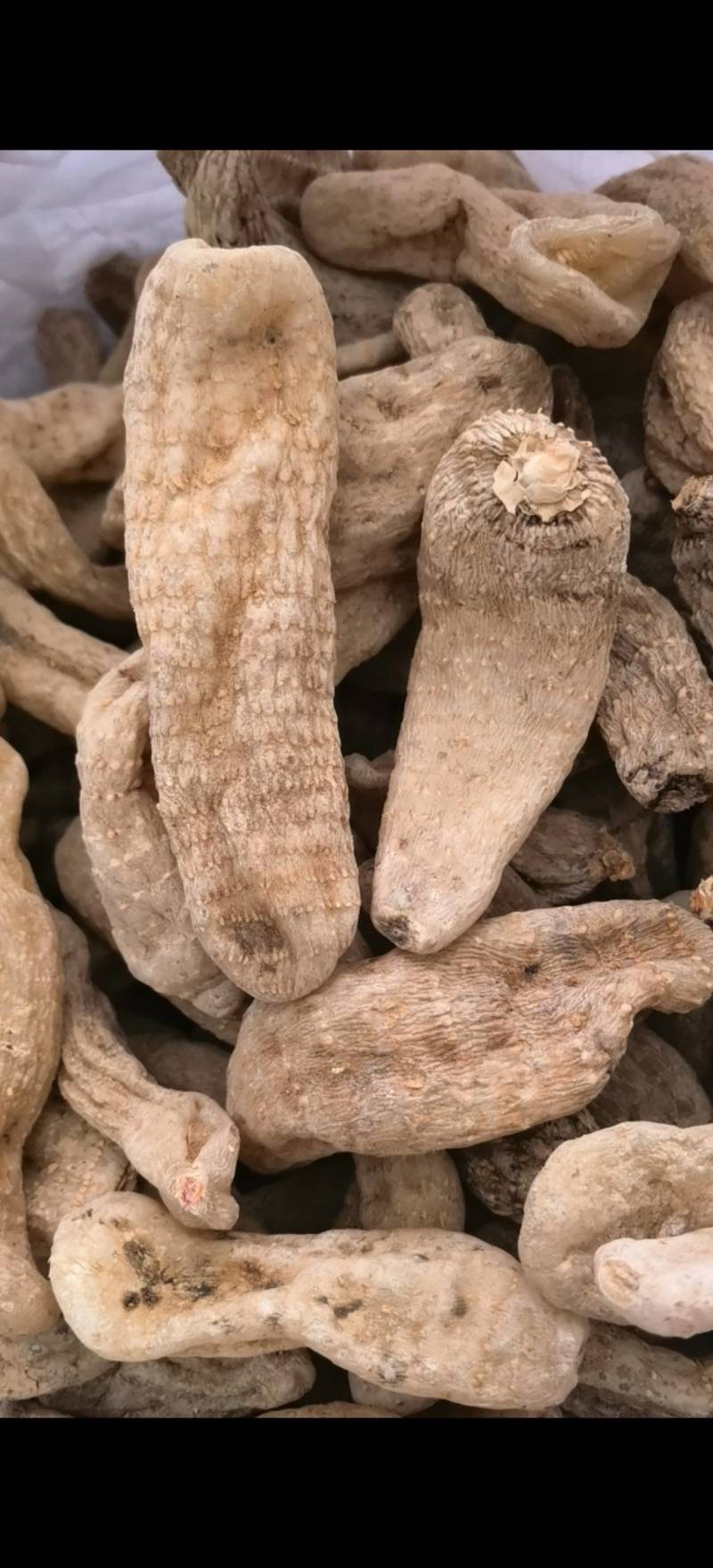 天麻个无硫云南天麻个子关书药业批发中药材