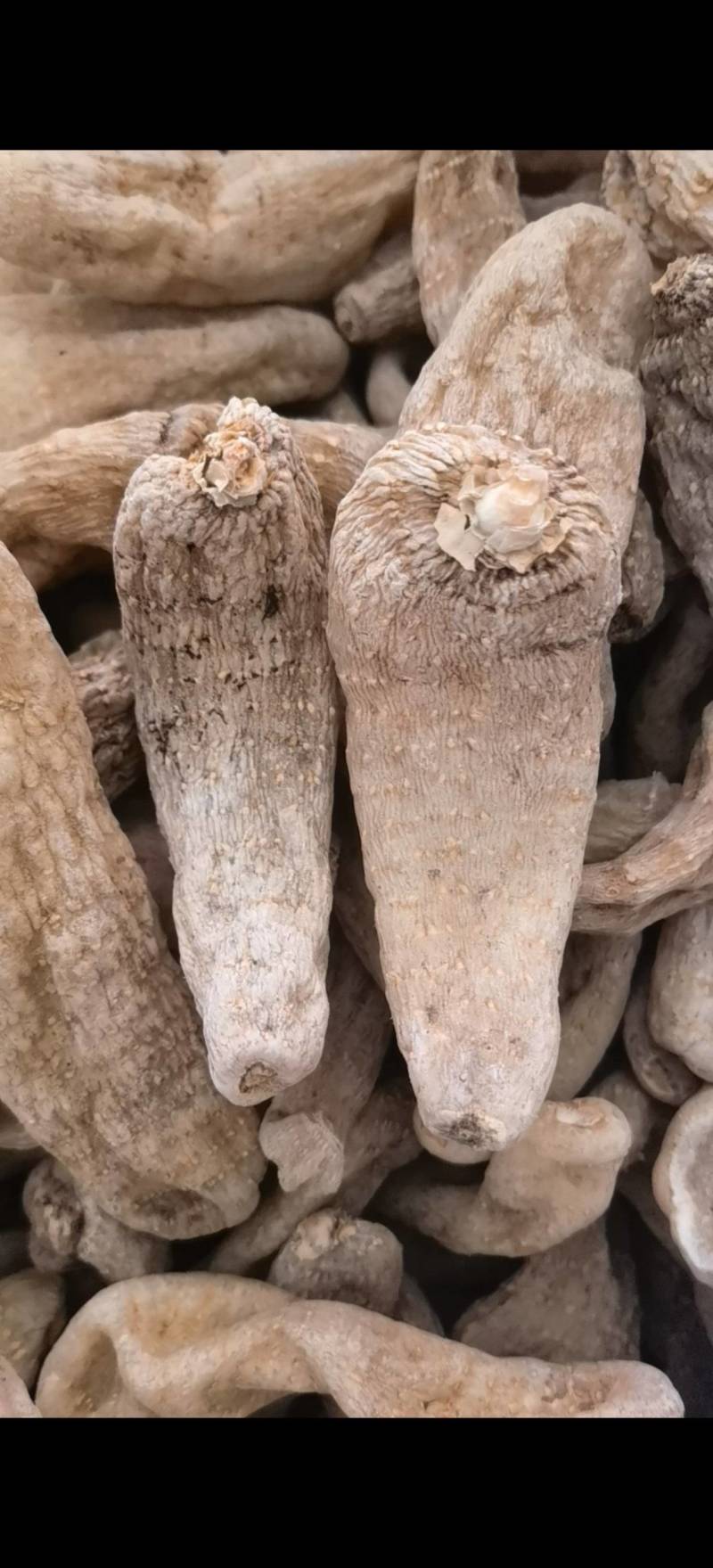 天麻个无硫云南天麻个子关书药业批发中药材