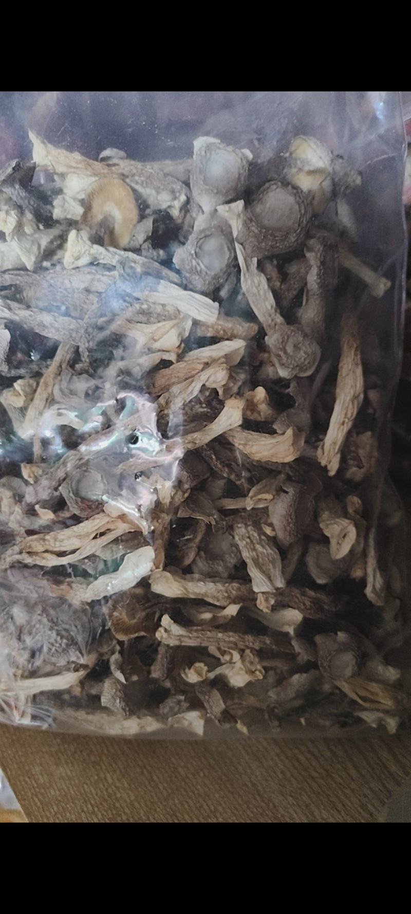 泌阳花菇甲天下，看下我家特产，规格齐全品食用菌之乡！