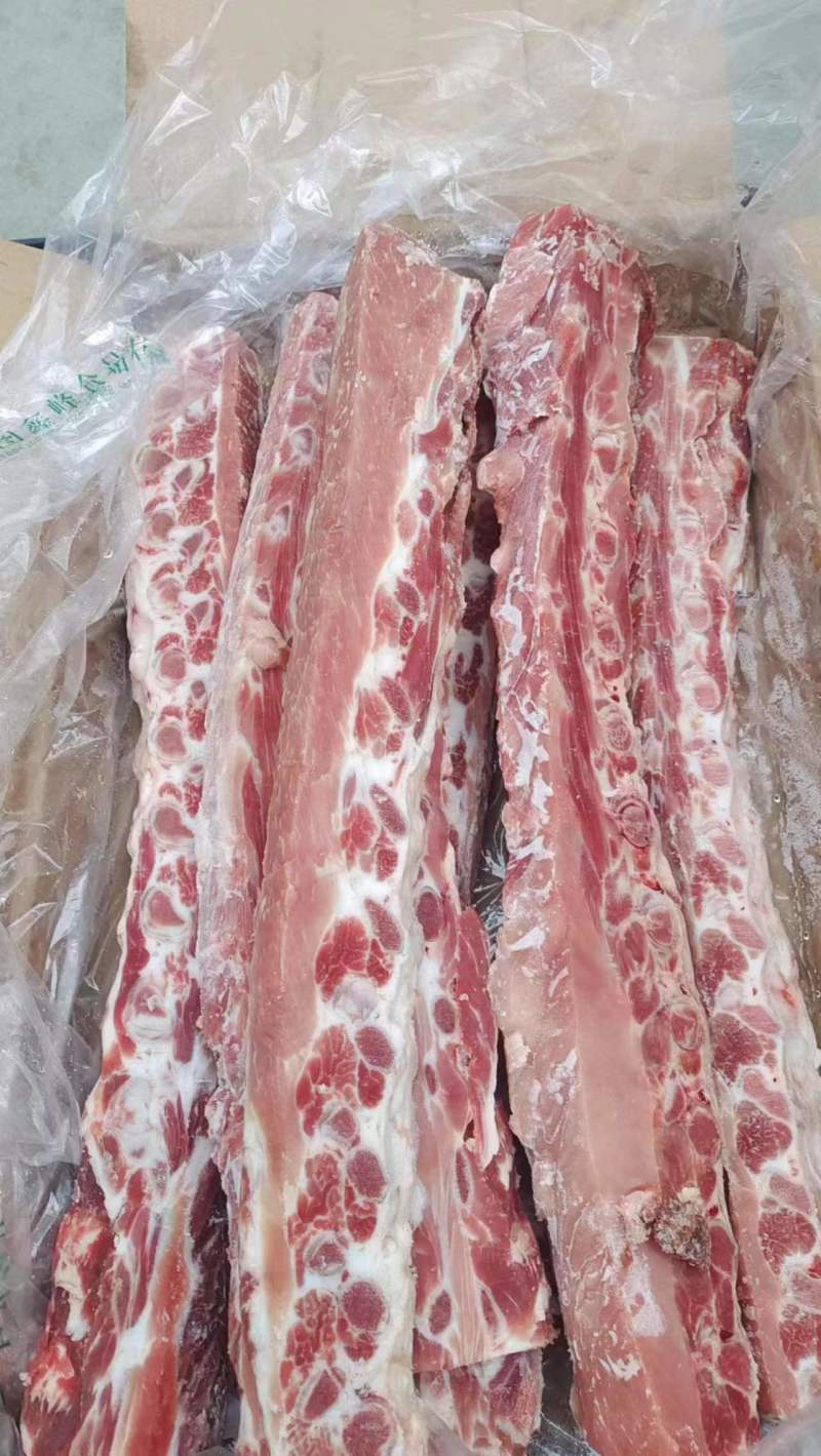 多肉龙骨