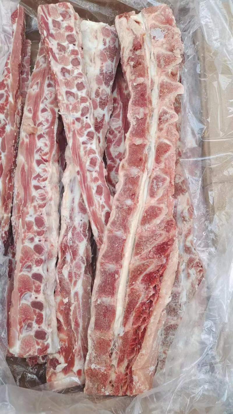 多肉龙骨