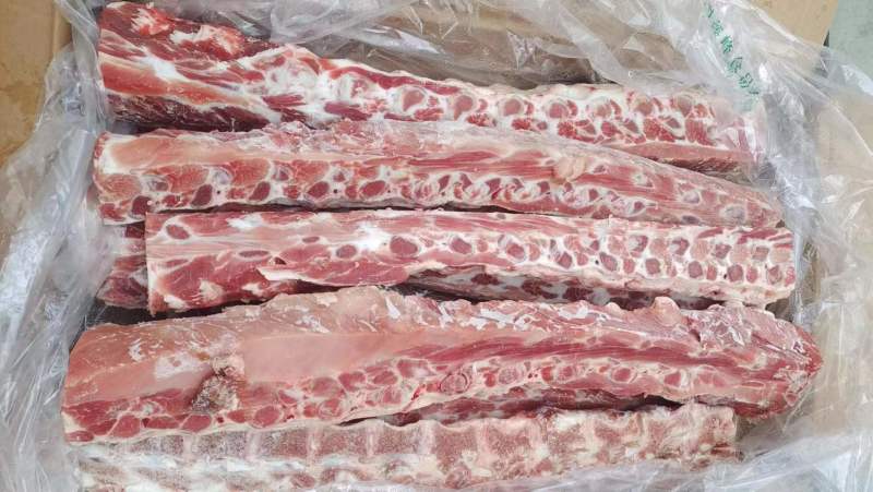 多肉龙骨