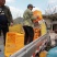 鹅蛋柑新鲜水果鹅蛋柑橙子甜橙脐橙水果皮薄汁多，香甜可口