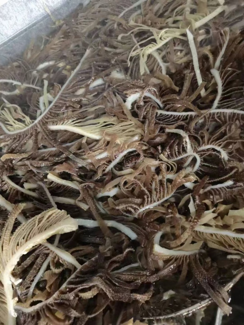 【黑千层肚丝】精选火锅食材长期合作量大价低