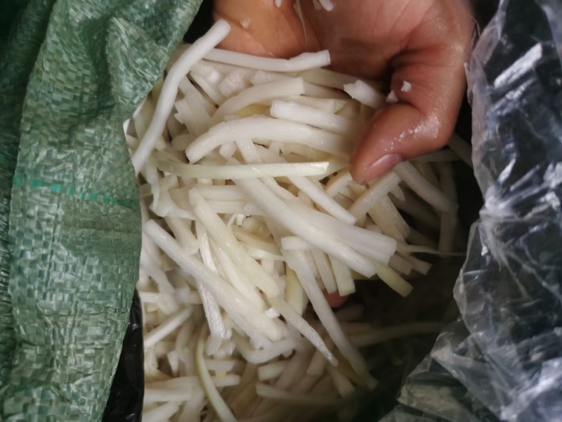 福建麻笋产地一手货源，厂家直销，笋丝笋片笋条，白丝黄丝