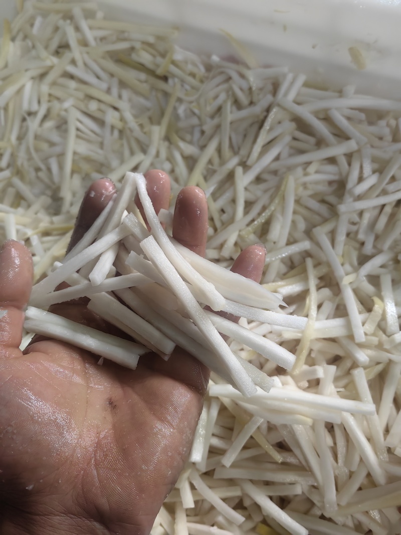 福建麻笋产地一手货源，厂家直销，笋丝笋片笋条，白丝黄丝