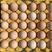 【土鸡蛋】洋鸡蛋产地直发，量大从优可根据需求定制，可咨询