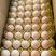 【土鸡蛋】洋鸡蛋产地直发，量大从优可根据需求定制，可咨询
