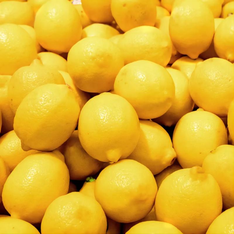 精品安岳柠檬大量上市诚信经营一手货源品质保证欢迎来电！