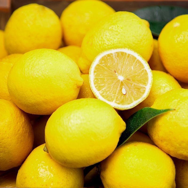 精品安岳柠檬大量上市诚信经营一手货源品质保证欢迎来电！