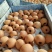 屏山大五星枇杷大量上市中。货量充足。口感纯甜全国代发