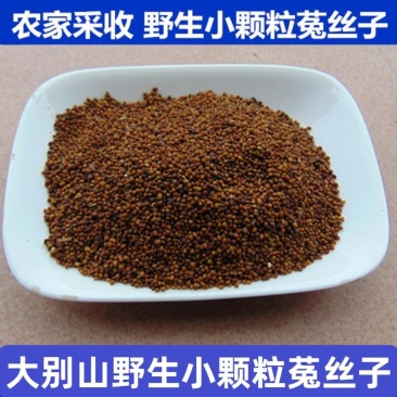 【菟丝子】中药材菟丝子无硫菟丝子道地药材多规格可选包邮