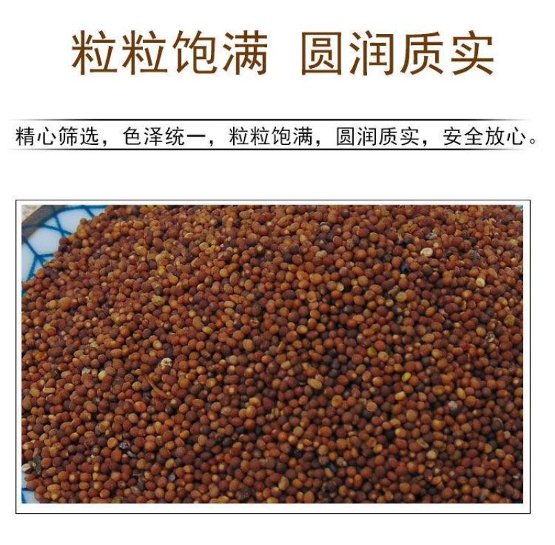 【菟丝子】中药材菟丝子无硫菟丝子道地药材多规格可选包邮