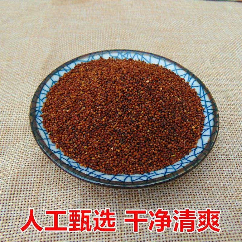 【菟丝子】中药材菟丝子无硫菟丝子道地药材多规格可选包邮