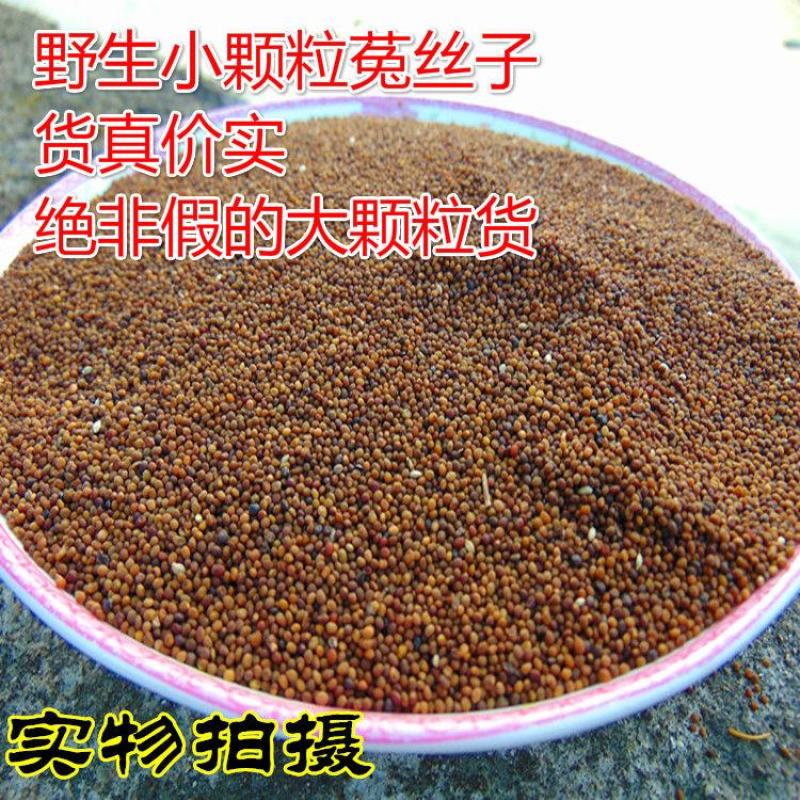 【菟丝子】中药材菟丝子无硫菟丝子道地药材多规格可选包邮