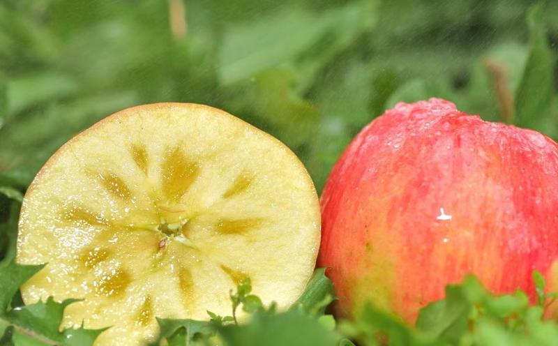 新疆阿克苏苹果大量供应产地直发，量大从优，各种规格都有