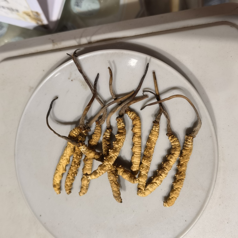虫草，西藏冬虫夏草，选条，水洗规格齐全关书药材