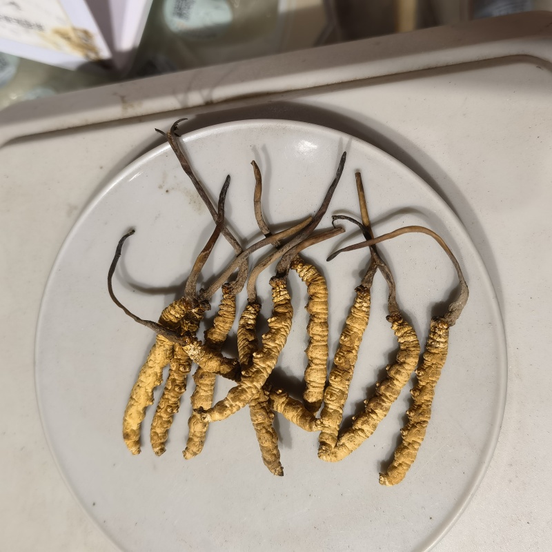 虫草，西藏冬虫夏草，选条，水洗规格齐全关书药材