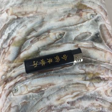 青林子鱼