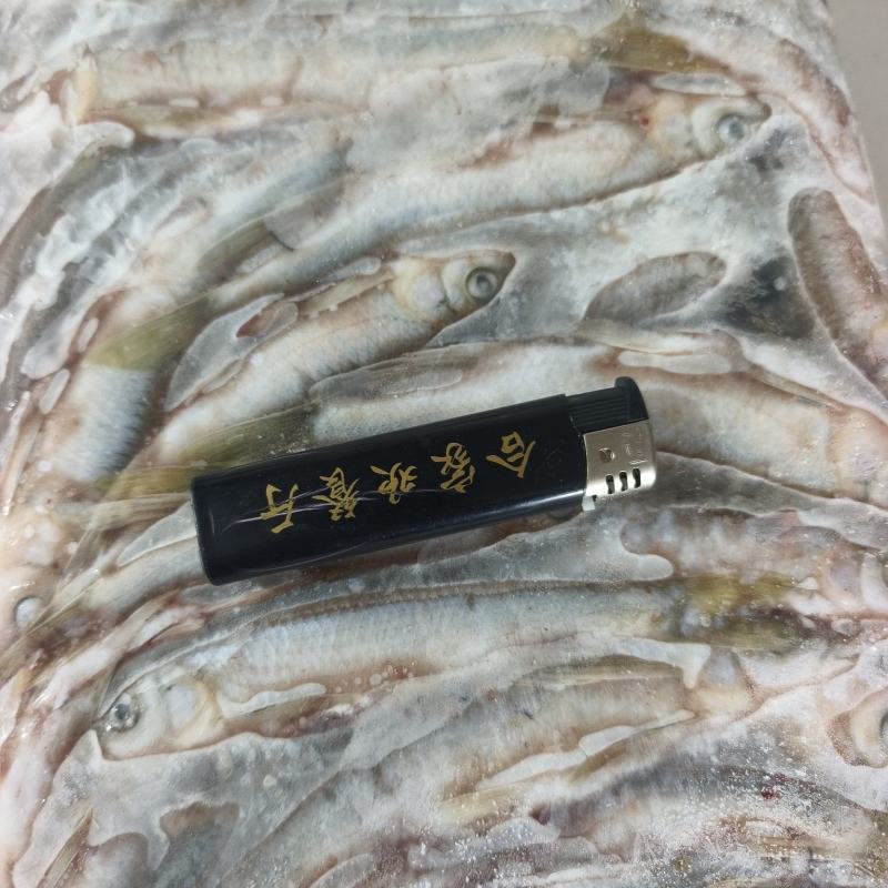 青林子鱼