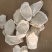 山药，无硫，泸土怀山药，关书药材桟，品种齐全质量保证。