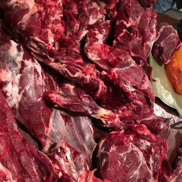 新鲜牛肉整头批发