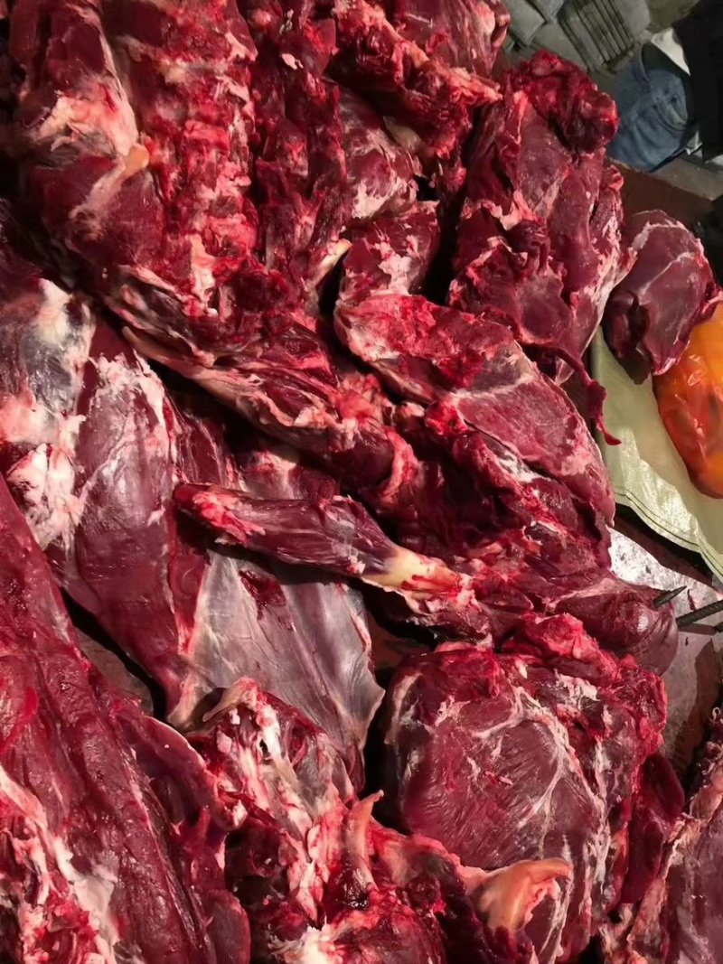 新鲜牛肉整头批发
