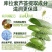 特价500ml芦荟抑菌洗手液消毒杀菌儿童孕妇用持久