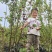 晚熟种植当年结果四川脆红李苗脱骨脆李苗嫁接南北方李子树