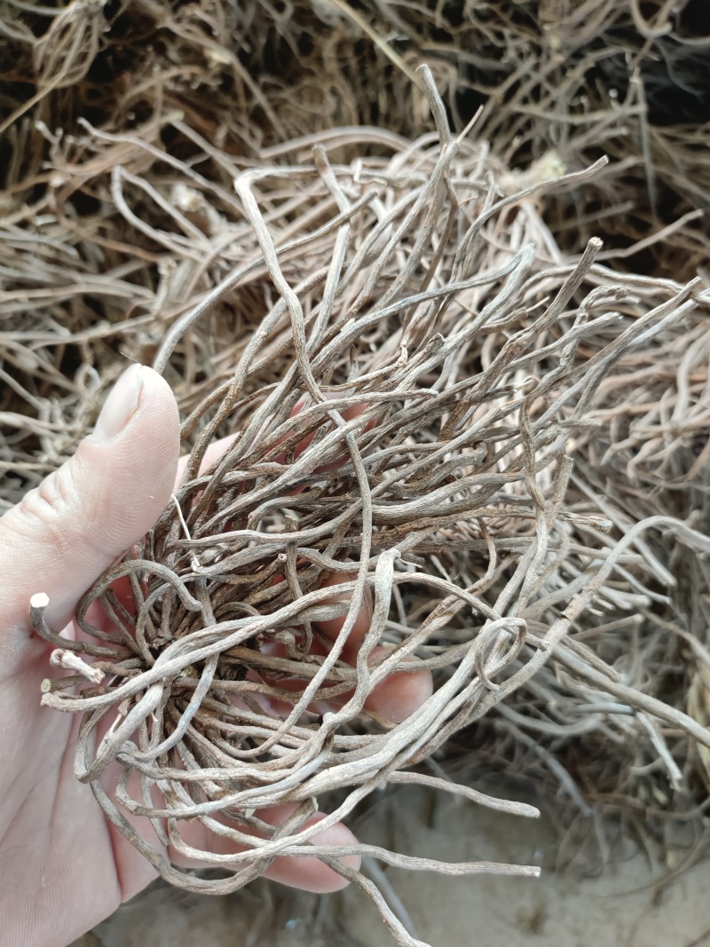 粉威灵仙根
