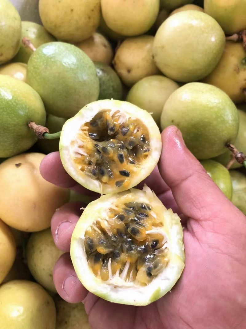 钦蜜9号一款纯甜无酸百香果