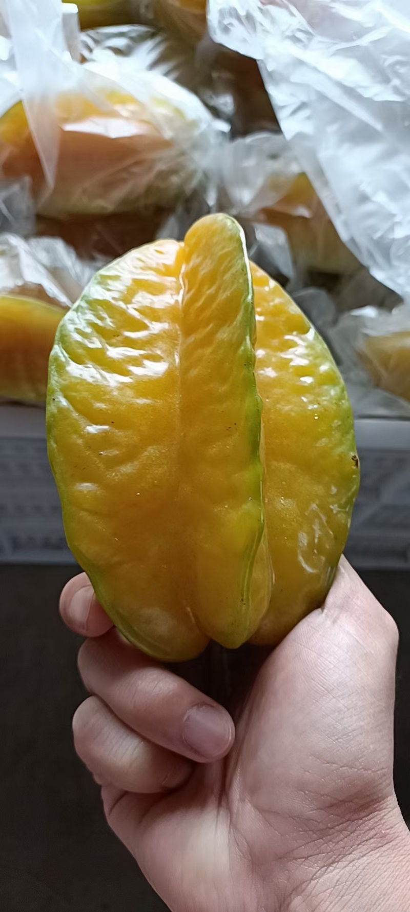 她是下河杨桃现在是她最甜的时候还能在采摘约15天左右