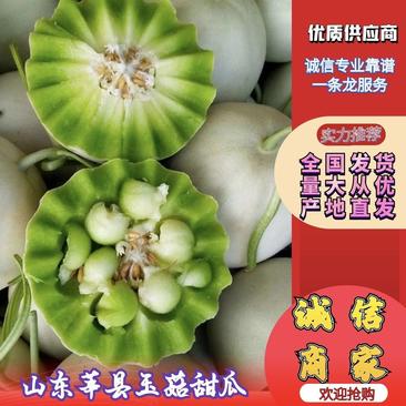 山东莘县玉菇甜瓜白皮绿肉量大从优产地直供商超直供