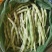 精品芸豆大量上市