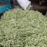 精品芸豆大量上市