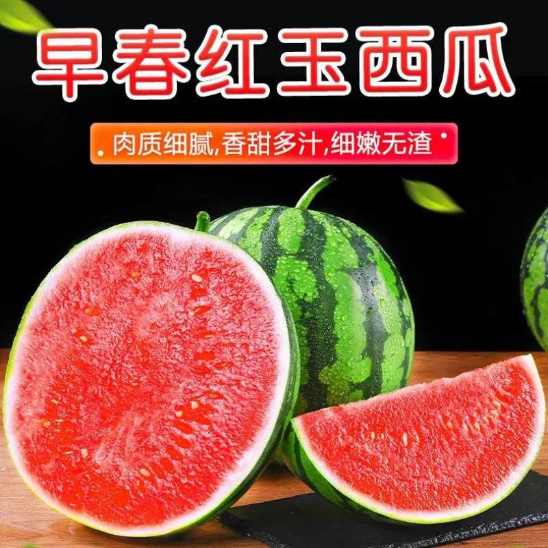 安徽砀山早春红玉西瓜皮薄多汁产地直发全国