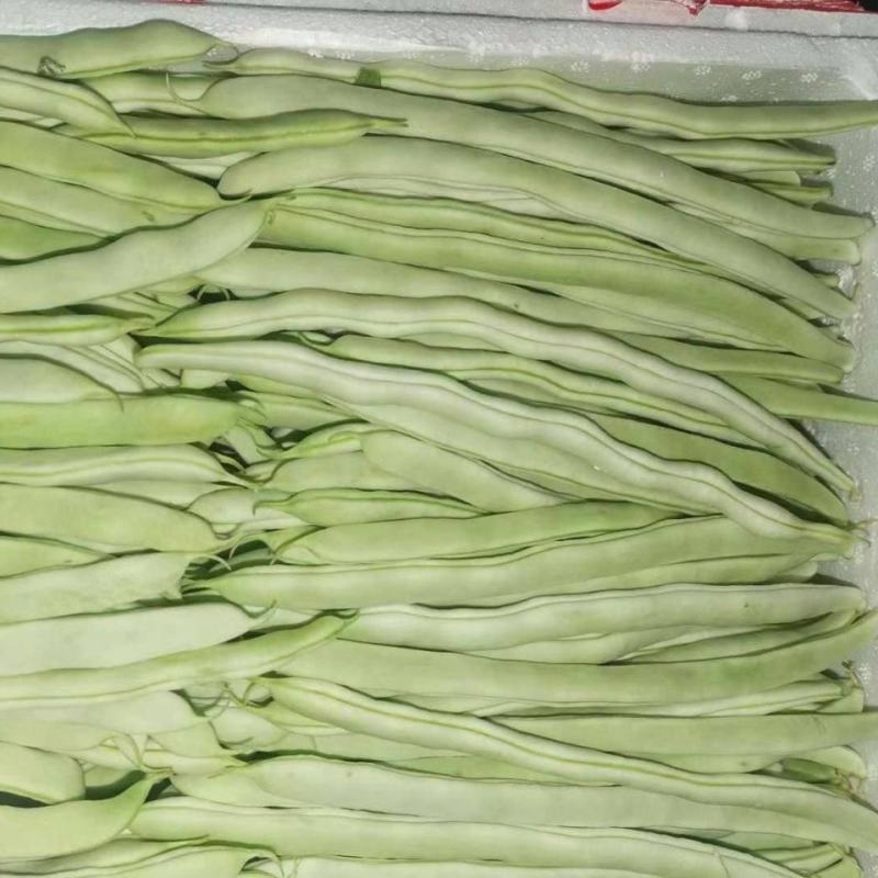 山东单县，芸豆，产地直供，货源充足，优等蔬菜，对接全国