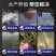 水产鱼缸鱼池鱼塘养殖场杀菌净水改底水污水处理高铁酸钾