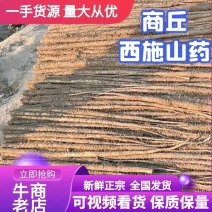 西施山药，现挖现卖，2023新货上市中，需要的赶快出手了