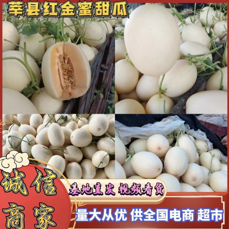 山东甜瓜红金蜜白皮红肉产地一手货源量大从优电商