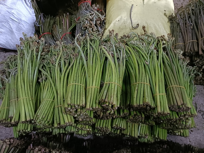 重庆精品甜蕨大量出货，欢迎老板采购