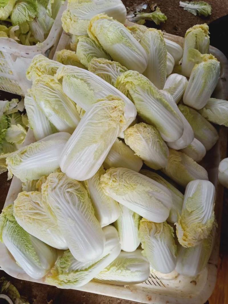 小娃娃菜