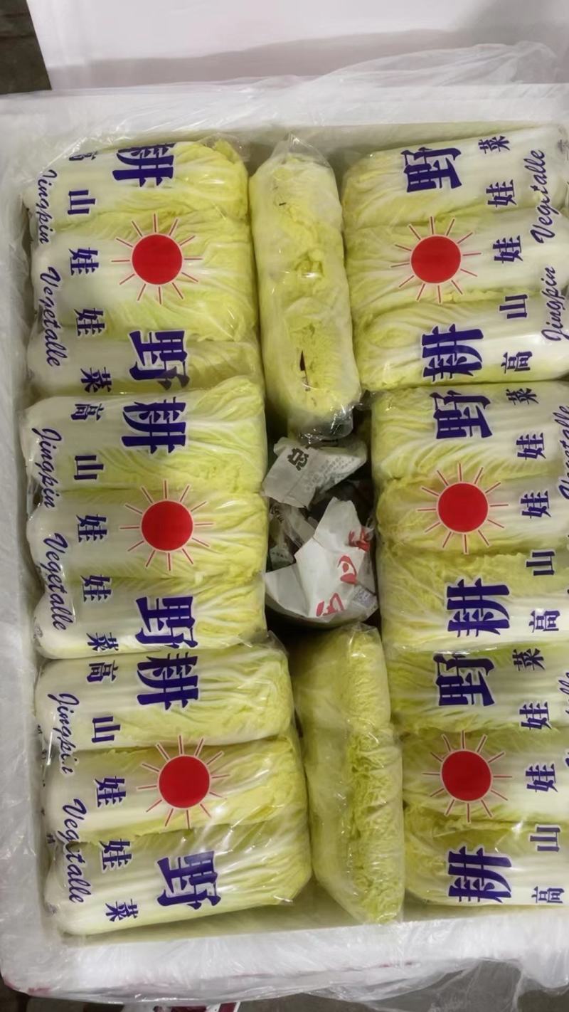 小娃娃菜
