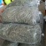 鲜蛤蟆草现挖现发，干蛤蟆草，去根去黄叶子，水洗自然晾干