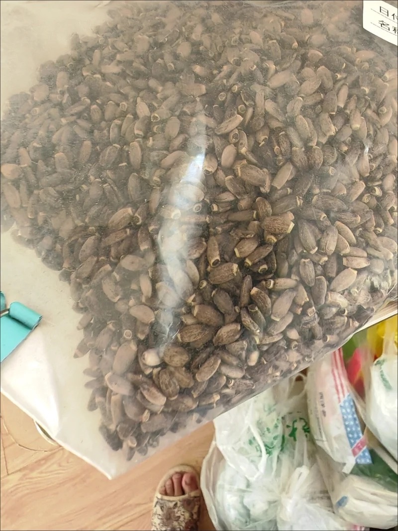 水飞蓟水飞蓟子水飞蓟子保庆药业水飞蓟粒
